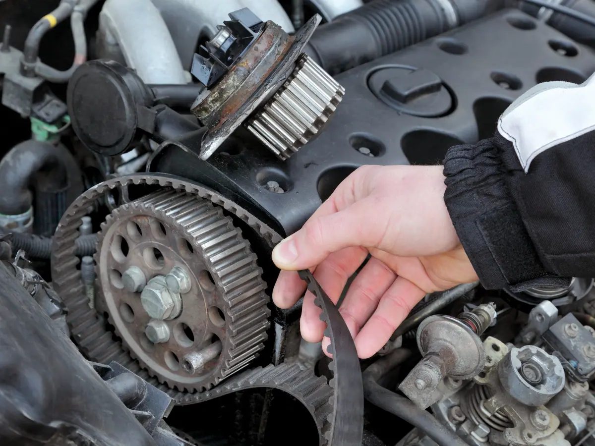 Timing Belts